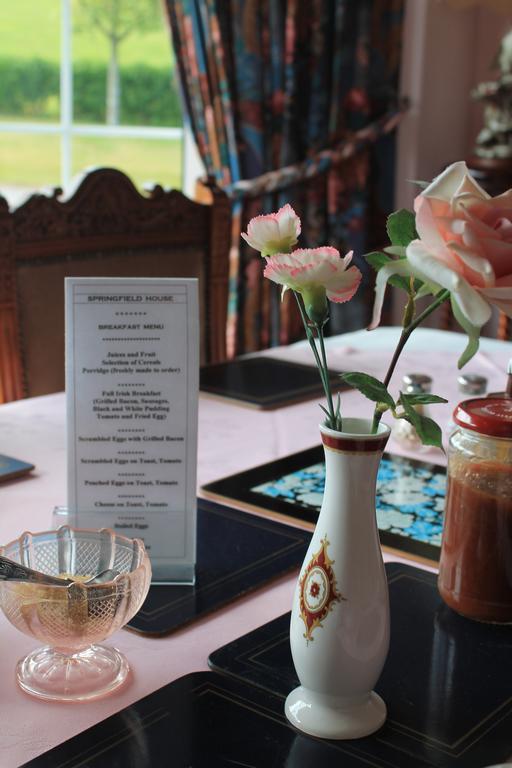 Springfield House B&B Clonakilty Ngoại thất bức ảnh